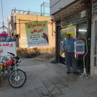 پرنده سرای امیرعلی وامیرحافظ|پرنده|قوچان, |دیوار