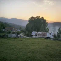 زمین مسکونی سنددار در حلیمه جان