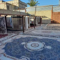 قالیشویی لاله|خدمات نظافت|زابل, |دیوار