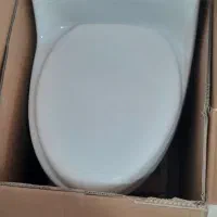 دشویی فرنگی