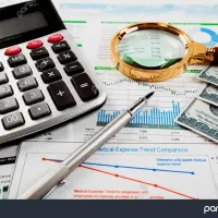 حسابدار مبتدی آقا مسلط به نرم افزار هلو