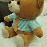 عروسک خرس|اسباب‌‌بازی|کرج, شهرک بنفشه|دیوار