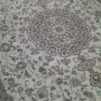 روفرشی ستاره کویریزد
