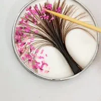 ر. زین|بدلیجات|جهرم, |دیوار