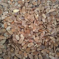 تخمک هن وانه زابل درجه یک