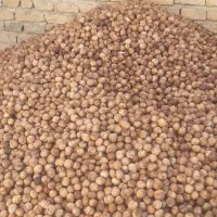 فروش گردو|عمده‌فروشی|شیروان (خراسان), |دیوار