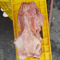 غذای سگ اسکلت بوقلمون