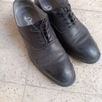 دوجفت کفش مردانه سایز 41