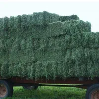 فروش کاه و یونجه و جو|حیوانات مزرعه|تهران, نعمتآباد|دیوار