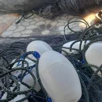 ۴عدد تور لنگری جشی|ماهیگیری|بوشهر, |دیوار