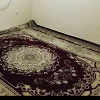 فروش قالی ۵۰۰ شانه ۱۲ متری