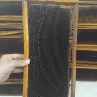 پوکه زنبور عسل