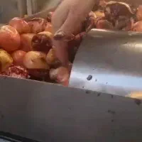 انار دانه کن و ابگیری|خدمات پذیرایی، مراسم|زارچ, |دیوار