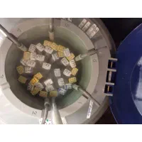 اسپرم گاو و تلیسه