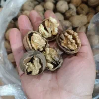 گردو|خوردنی و آشامیدنی|محلات, |دیوار