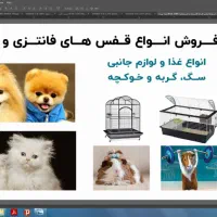 نیروی خانم جهت همکاری