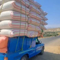 فروش کاه نرم و ریز