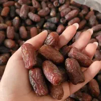 فروش عمده انواع خرما تازه جنوب