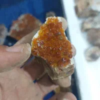 سنگ کولکسیونی|کلکسیون اشیاء عتیقه|بیرجند, |دیوار