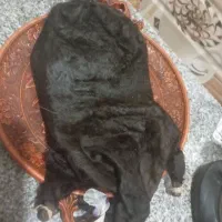 خیگ|ظروف نگهدارنده، پلاستیکی، یک‌بارمصرف|لردگان, |دیوار