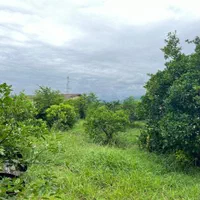 فروش ۹۰۰ مترمربع باغ ویلا با ۲ ساختمان مجزا|فروش خانه و ویلا|رامسر, |دیوار