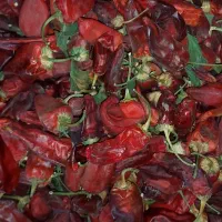 فلفل قرمز|خوردنی و آشامیدنی|سبزوار, امیریه|دیوار