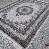 فرش هراز خرید تک به قیمت عمده/۵۰۰ تا ۱۲۰۰ شانه|فرش|بابل, |دیوار