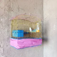 فروش مرغ عشق هلندی با تخم