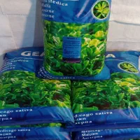 بذر یونجه ممتاز