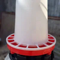 دانخوری مرغ وجوجه