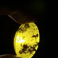 انواع سنگ طبیعی دست تراش