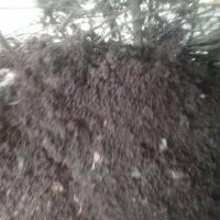 کود دامی.پشم گوسفند