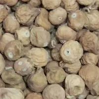 گردو بادام زمینی بادام درختی مغز گردو مویز کشمش|خوردنی و آشامیدنی|قم, باسکول|دیوار