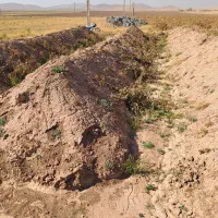 باغ انگور|فروش دفتر صنعتی، کشاورزی، تجاری|باروق, |دیوار