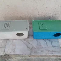 لونه و قفس پرنده قناری مرغ عشق طوطی کوتوله