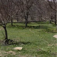باغ ۱۳۱۵متری دیوارکشی‌شده/سند‌تک‌برگ/روستای گوشلان