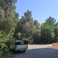 اجاره آپارتمان در سالور|اجارهٔ آپارتمان|اسلامشهر, شهرک سالور|دیوار