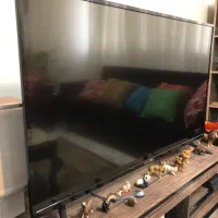 تلویزیون صنام