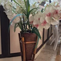 گل وگلدان باهم ۳۰۰ هزارتومان