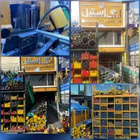 بازاریاب فروش