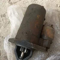 پرنده|پرنده|سوسنگرد, |دیوار