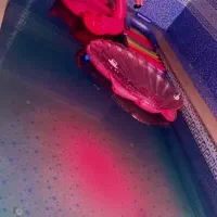 وسایل بادی استخر برند اینتکس|غواصی و ورزشهای آبی|تهران, شهرک فردوس (حسینی)|دیوار