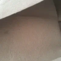 موکت ظریف مصور