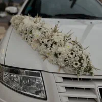 گل آرایی ماشین عروس در محل شما|خدمات پذیرایی، مراسم|تهران, مسعودیه|دیوار
