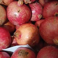 انار درجه یک قرمز شیرین