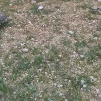 3000مترزمین صنعتی در شهرک صنعتی ق توافقی