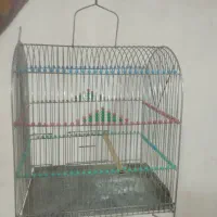 قفس|پرنده|اردبیل, |دیوار