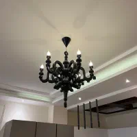 ۲ عدد لوستر مویی ۶ شعله مشکی