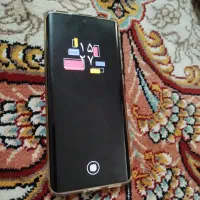 p50 pro