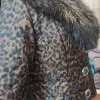 پالتو|لباس|گلبهار, شهر جدید گلبهار|دیوار